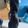 Golf set 12 clubs + Bag Image 2