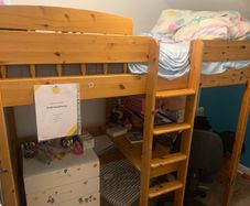 Pine Loft Bed with study shelf