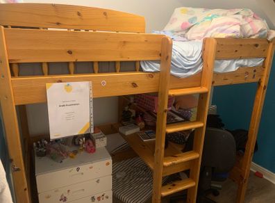 Pine Loft Bed with study shelf