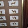 Vintage 1933 John Player & Sons "Derby Winners" Cigarette Card Framed Display Image 7