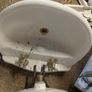 Wash Hand basins & pedestals Image 2
