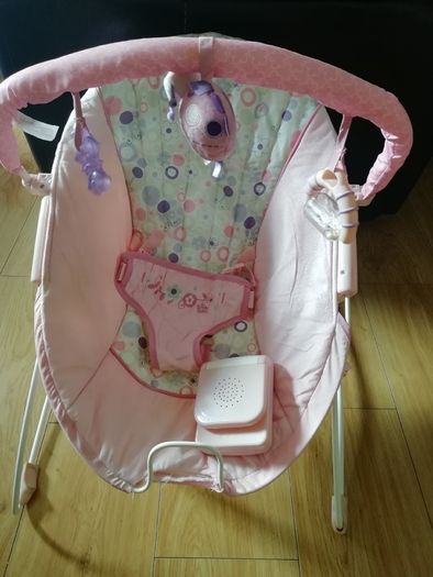 Baby bouncer