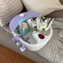 Sanitas Foot Bubble Spa Image 4