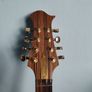 Siveen bouzouki Image 2