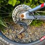 Pivot Firebird 2024 Image 3