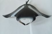 New Schleich Manta