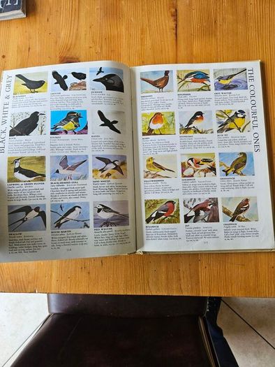 The Irish Wildlife Book. Edited By Fergus O'gorman. Illustrated By Gerrit Van Gelderen, Eamon De Buitlear And Richard Mills. First Edition Large Volume Hardback In Good Condition.