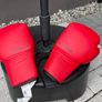Boxing set for kids Image 4