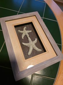 Starrfish decoration