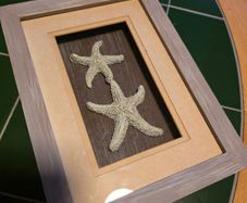 Starrfish decoration