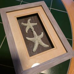 Starrfish decoration
