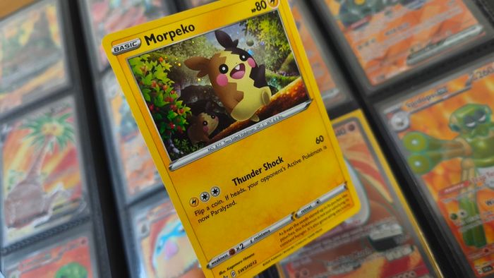 Morpeko ! Promo from Sword & Shield Era ! 2020 ! Pokemon Card !