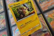 Morpeko ! Promo from Sword &amp; Shield Era ! 2020 ! Pokemon Card !