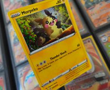 Morpeko ! Promo from Sword & Shield Era ! 2020 ! Pokemon Card !
