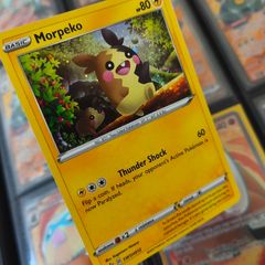 Morpeko ! Promo from Sword & Shield Era ! 2020 ! Pokemon Card !