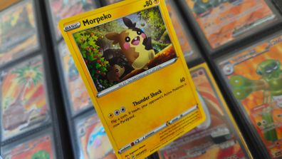 Morpeko ! Promo from Sword & Shield Era ! 2020 ! Pokemon Card !