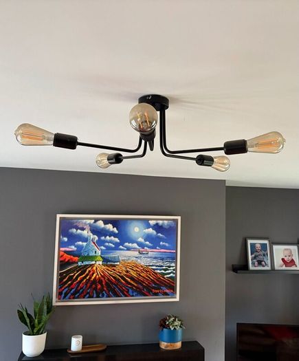 Modern Black Ceiling Light + 5 smart bulbs
