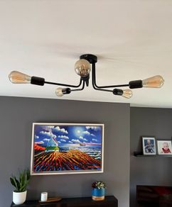 Modern Black Ceiling Light + 5 smart bulbs