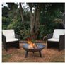 Raw Iron Garden Fire Pit Burner with Handles Image 5