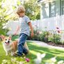 Garden Fencing,19 Pcs Temporary Fencing Animal Fence Barrier, Decorative Metal Fencing Image 10