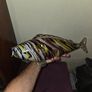 Murano Glass Fish Sculpture Image 5