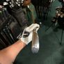 Srixon zu85 2 iron Image 3