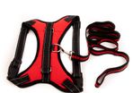 Dog Harness & Leash