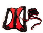Dog Harness & Leash