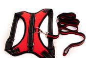Dog Harness &amp; Leash