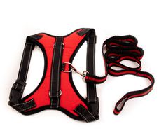 Dog Harness & Leash