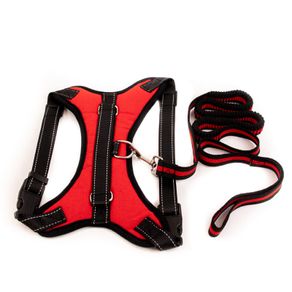 Dog Harness & Leash