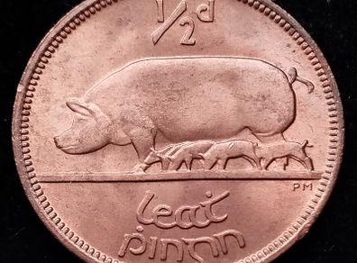 Ireland - 1966 - Half Penny - KM.10 - UNC - [646]