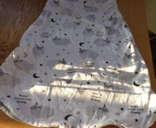 Lily & Dan Baby Sleeping Bag for Sale