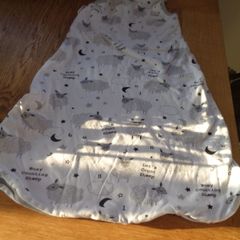 Lily & Dan Baby Sleeping Bag for Sale