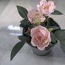 IKEA fake flowers and pot Image 3