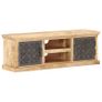 TV Cabinet with Steel Doors 120x30x40cm Solid Mango Wood Image 10