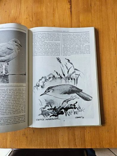 The Irish Wildlife Book. Edited By Fergus O'gorman. Illustrated By Gerrit Van Gelderen, Eamon De Buitlear And Richard Mills. First Edition Large Volume Hardback In Good Condition.