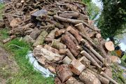 fire wood ,tree cuts ,split logs .