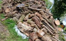 fire wood ,tree cuts ,split logs .