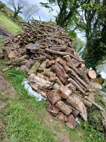 fire wood ,tree cuts ,split logs .