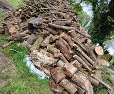 fire wood ,tree cuts ,split logs .