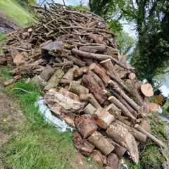 fire wood ,tree cuts ,split logs .