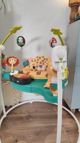 baby Jumperoo