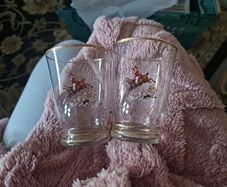 Vintage Glasses Set
