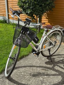 Electric Hybrid Bike