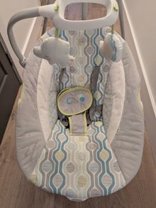Ingenuity Baby Swing