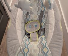 Ingenuity Baby Swing