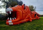 Inflatables for sale in Mullingar