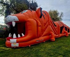 Inflatables for sale in Mullingar