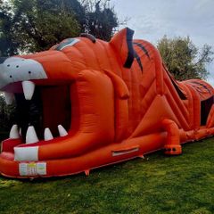 Inflatables for sale in Mullingar